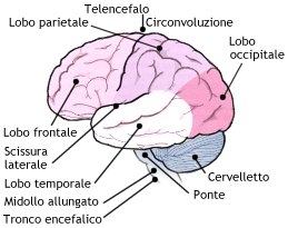 Metri (tecniche) di studio del sistema nervoso - Tecnica di Averaging (media)